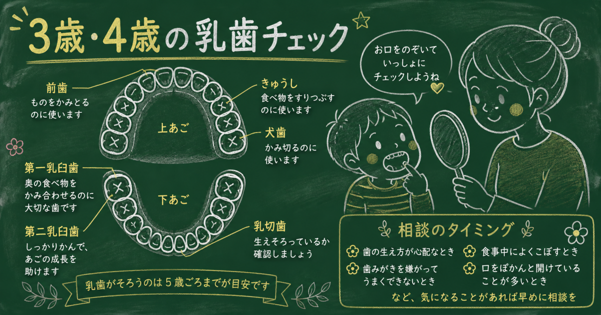3歳・4歳で歯科受診は必要？乳歯の歯並びチェックと相談のタイミング